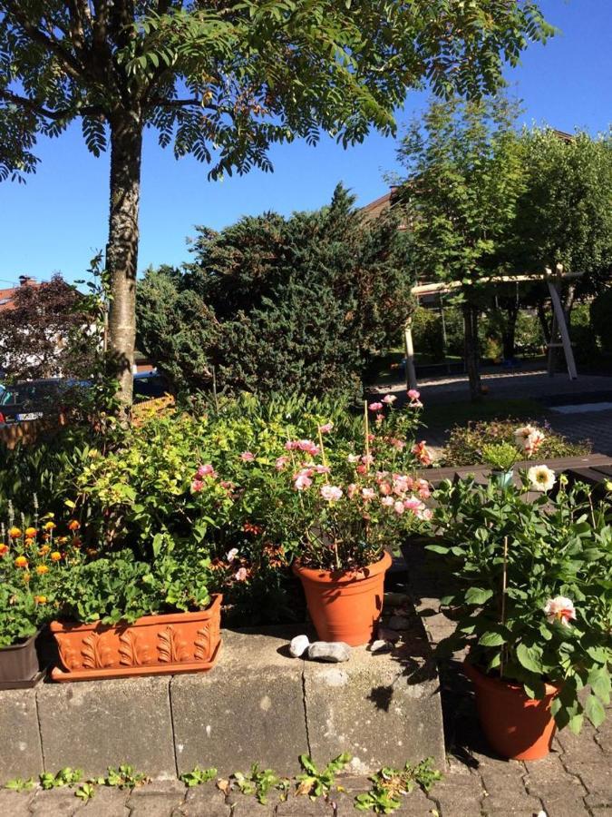 Silberdistel Sonthofen Διαμέρισμα Εξωτερικό φωτογραφία
